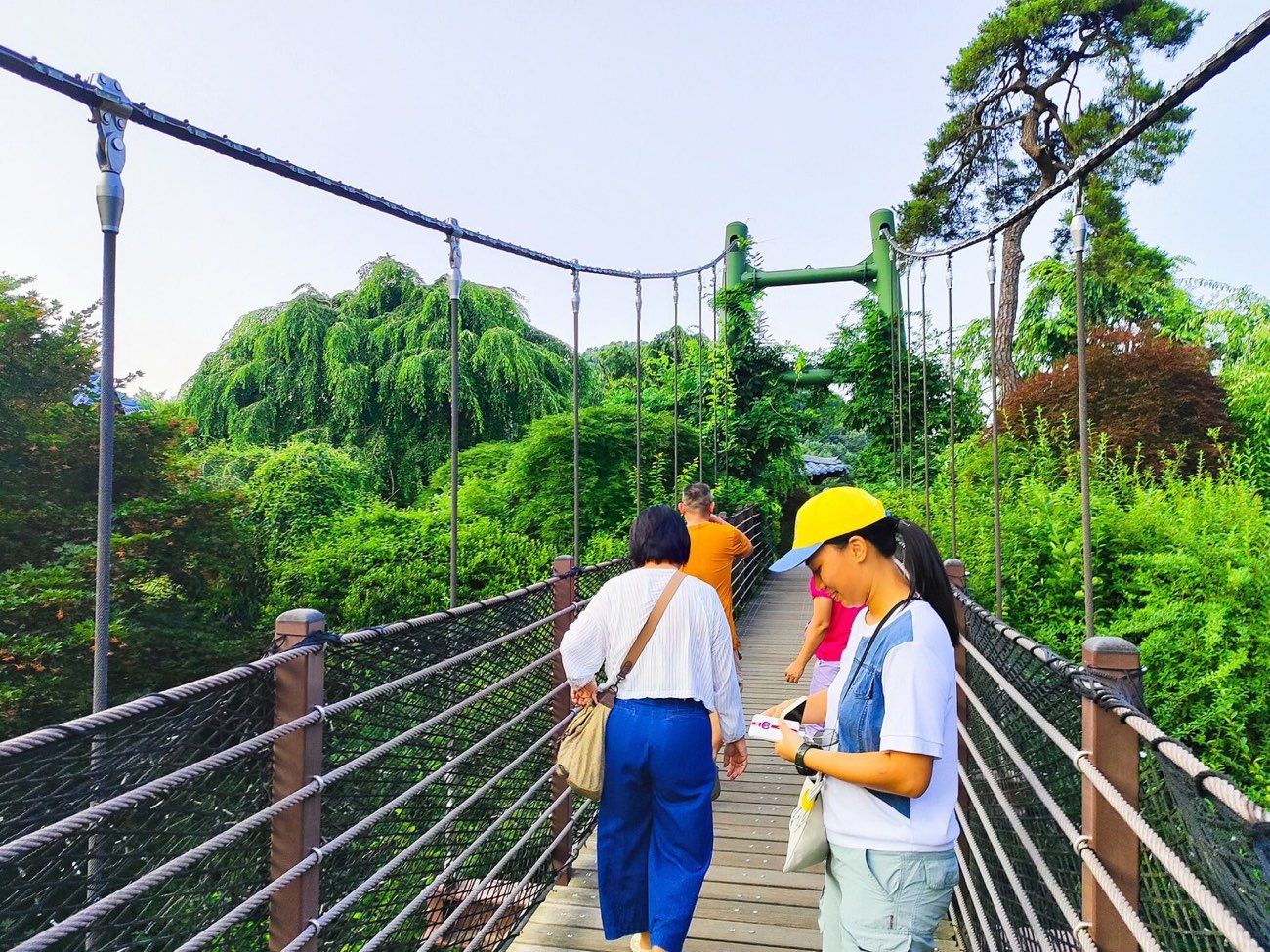 Footbridge among the trees at the Garden of Morning Calm near Seoul